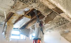 Best Emergency Mold Remediation  in San Marcos, CA